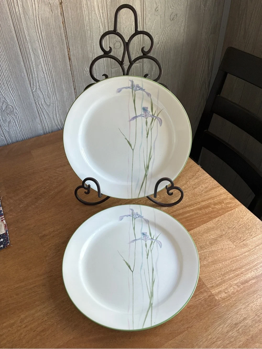 Corelle Impressions 10-1/4-Inch Dinner Plate, Shadow Iris set of 2